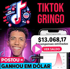 Tok Gringo