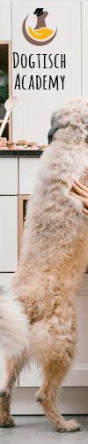 [Online-Kurs] BARF für Hunde 2.0
